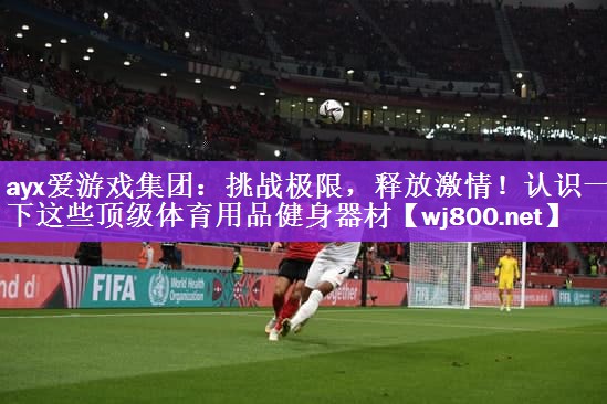 ayx爱游戏集团：挑战极限，释放激情！认识一下这些顶级体育用品健身器材