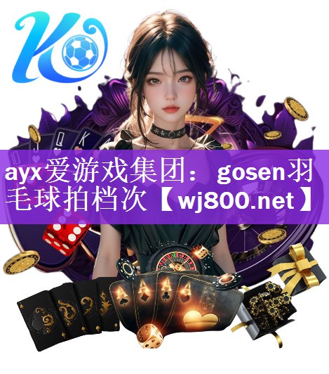 gosen羽毛球拍档次