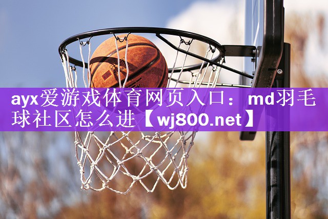 md羽毛球社区怎么进