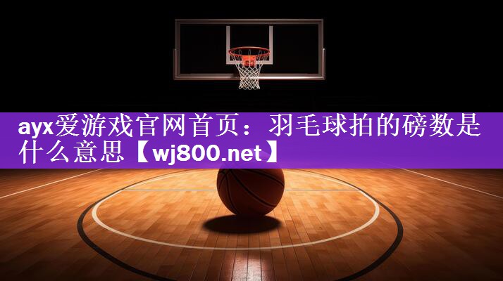 羽毛球拍的磅数是什么意思